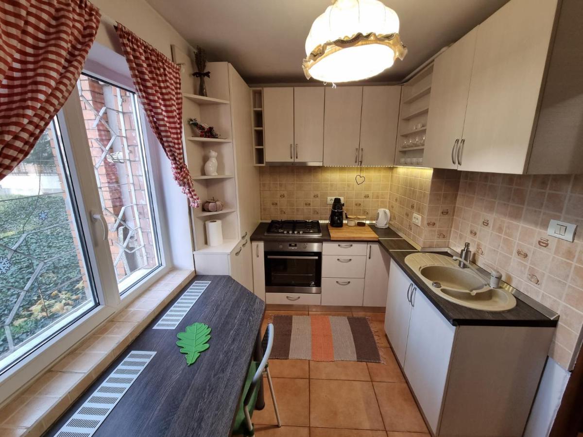 Bastion Apartment Тимишоара Экстерьер фото